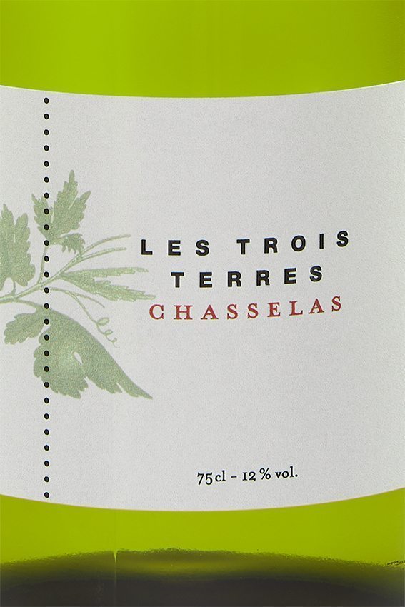 vins-vaudois-chasselas-morges-la-côte