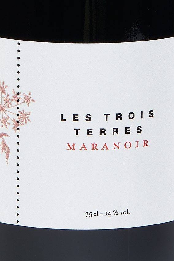vins-vaudois-morges-la-côte